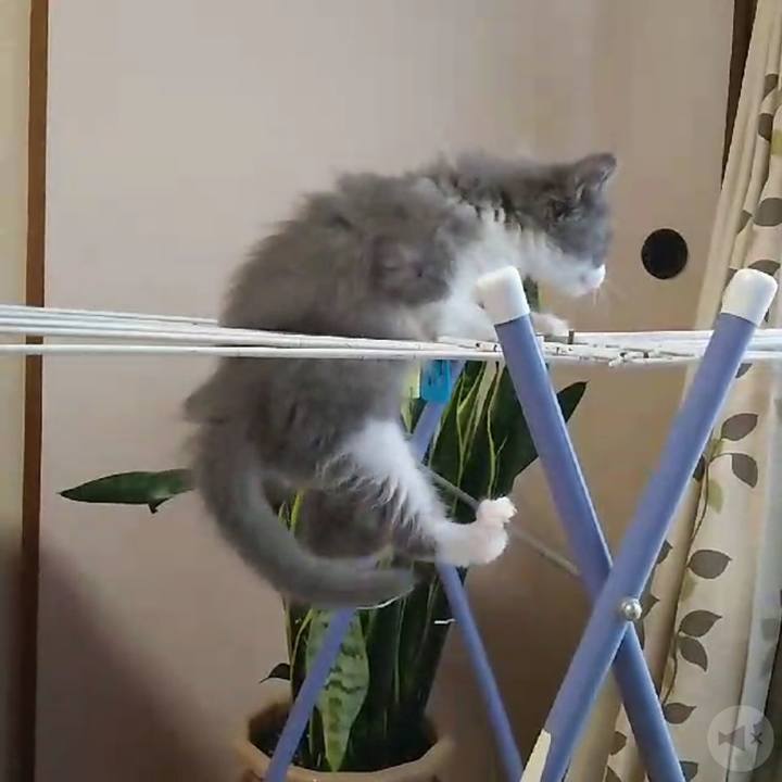 C822bdd3 f30c 4a4b 9617 8d3814c35131 1626932931874