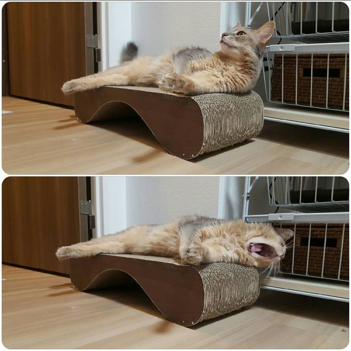 C823009d a023 4683 b9aa 5fc6651ffe2f 1534073223873