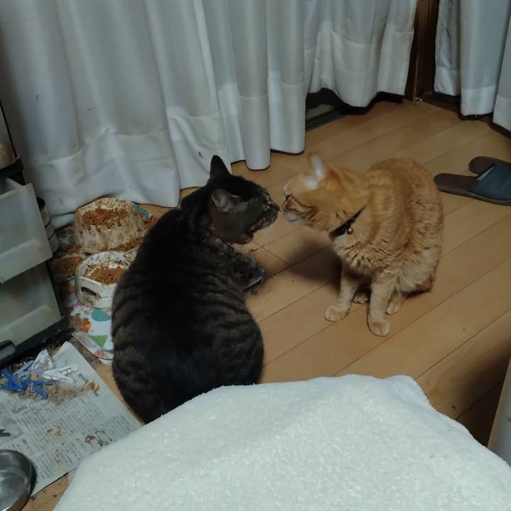 C8230799 d55f 4f01 b82b babee57eafe4 1714515245841