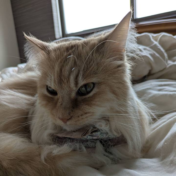 C8232dd3 8f5c 4a10 b48b ce09dee9f279 1745632311324