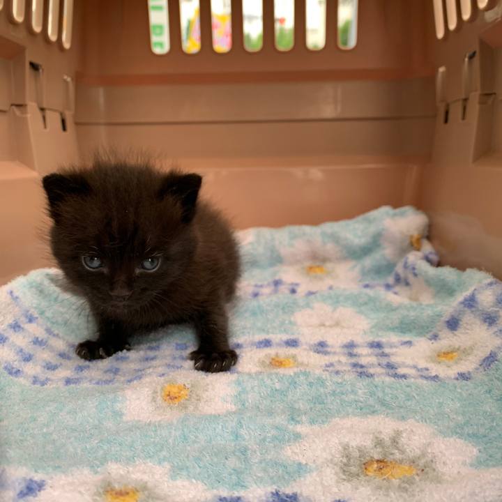 C8235054 78b0 41c0 9566 98ac067240e1 1592097626563