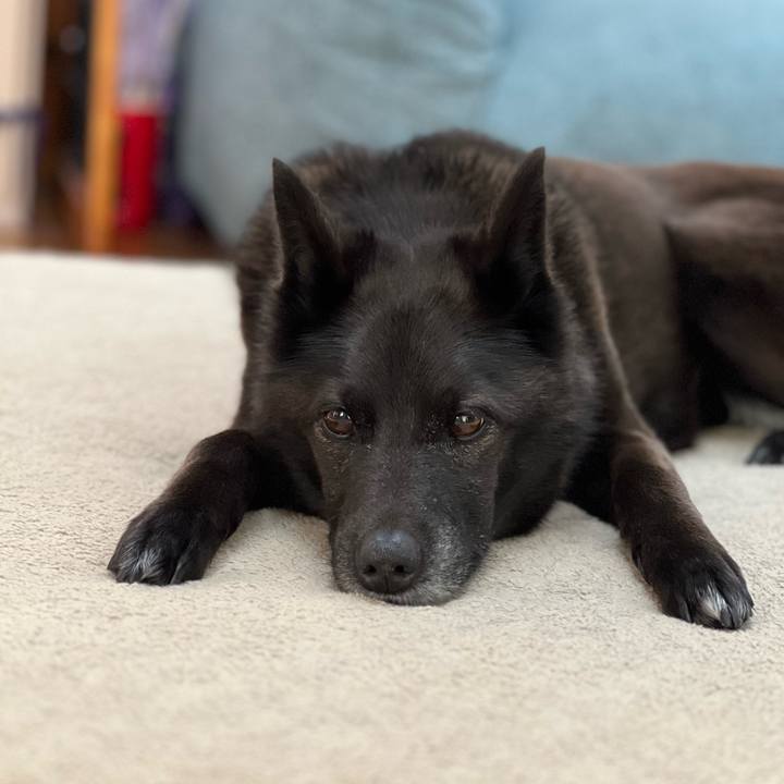 C82358d0 ec43 49f8 ac22 6b846c86d6c7 1746405502956