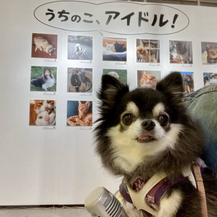 C8236b76 60cd 43ae be11 afdb3b63d6b5 1761210905491