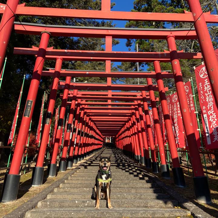 C8238472 b0dc 4fdb 8b17 ceb0bfec373a 1638188829003