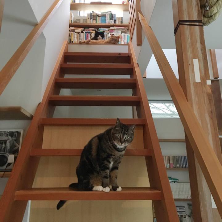 C823b8eb d267 42af 9844 7877de62ac42 1559952191671