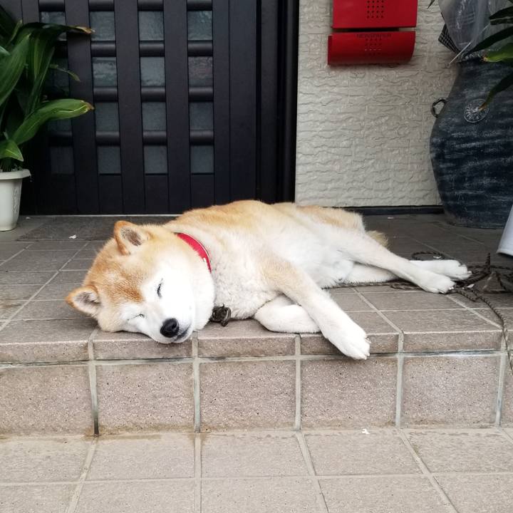 C823ceeb 154c 462c ae5b 04f3e06ac585 1719100984368