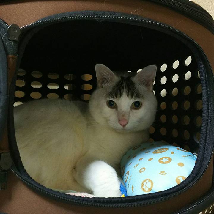 C823d3cb e6a8 4b90 8f01 954a548c63d3 1508996106037