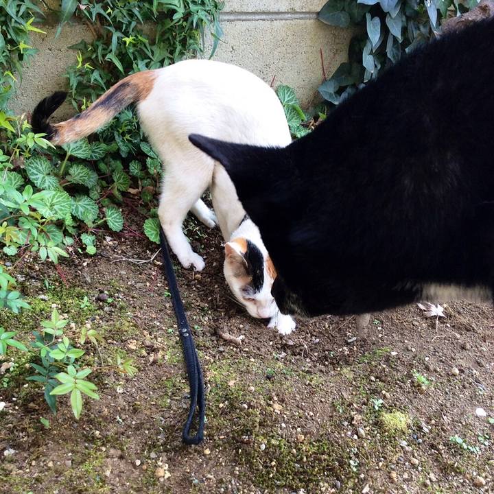 C823f979 7816 467c a13b 512df4972897 1556423899879