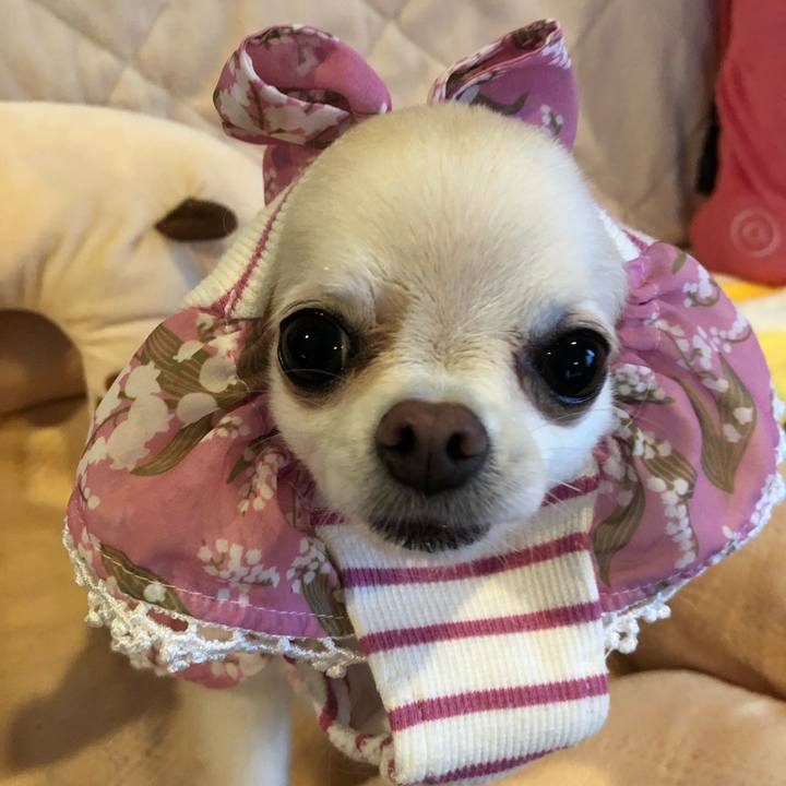 C8244156 1054 4a73 a323 c6e7513fb420 1526693778400