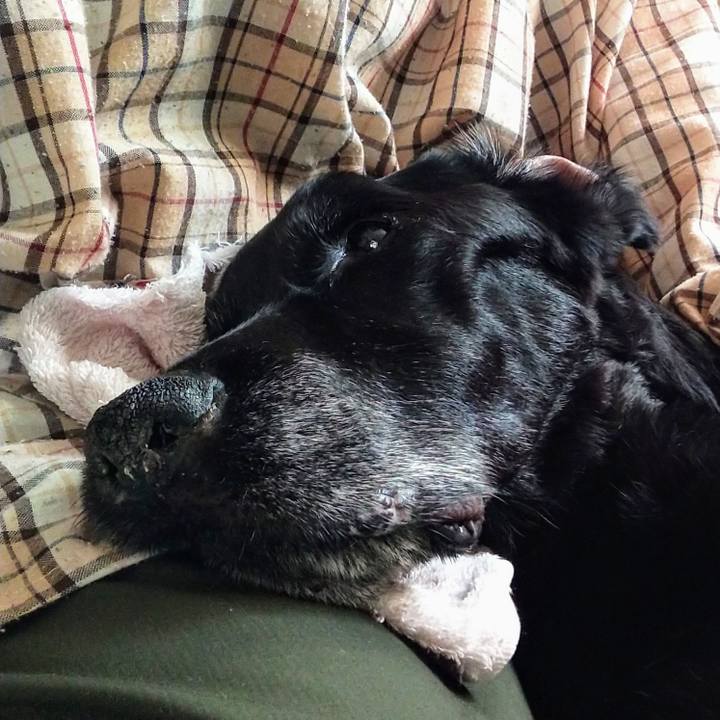 C8244c5c a166 4b91 9d12 eaa2573fd3c6 1734840844633