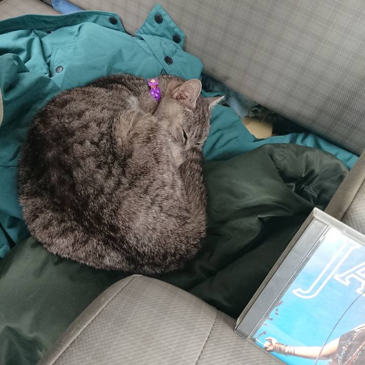 C8249489 bc1a 423e 9d91 768d08dccc4b 1589091725978