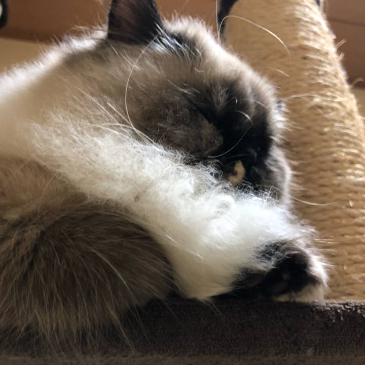 C8249604 0312 4d4b 9e44 2f31c825ec41 1639311625426