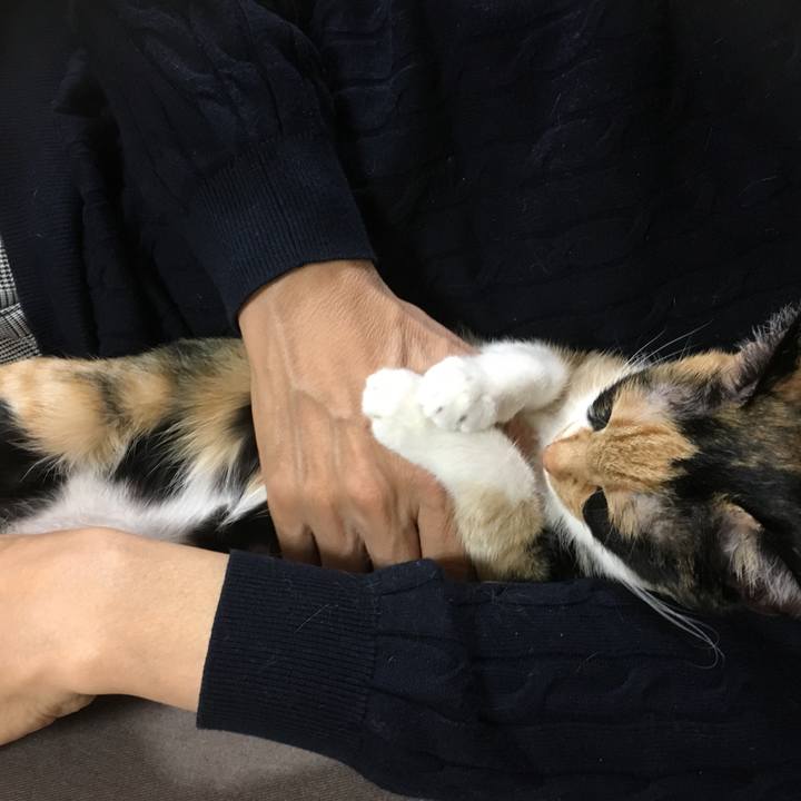 C824a4cc 748e 469d b863 af5d5fb0f016 1512480117642