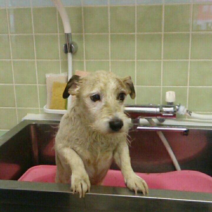 C824c4aa 23d3 42f9 b8f8 e9e84318f759 1518998304677