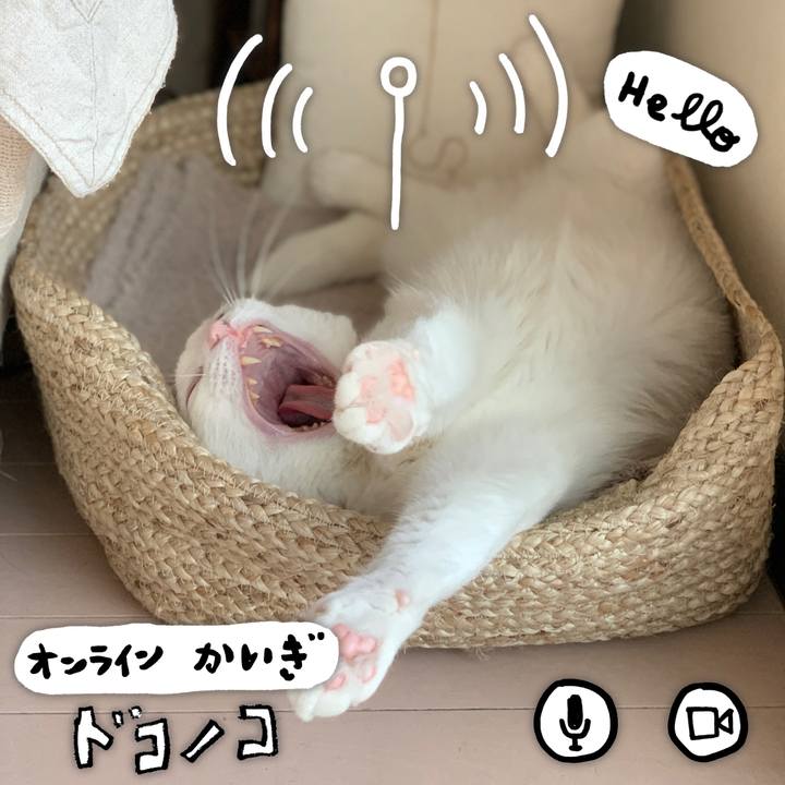 C82521ff 2282 4888 b93e 9d024212f02d 1590799509337