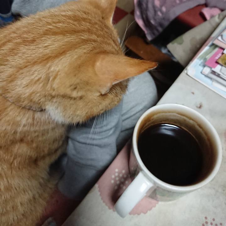 C8254cfd e4d4 4937 9a69 c0967d2ab0c4 1591560967491