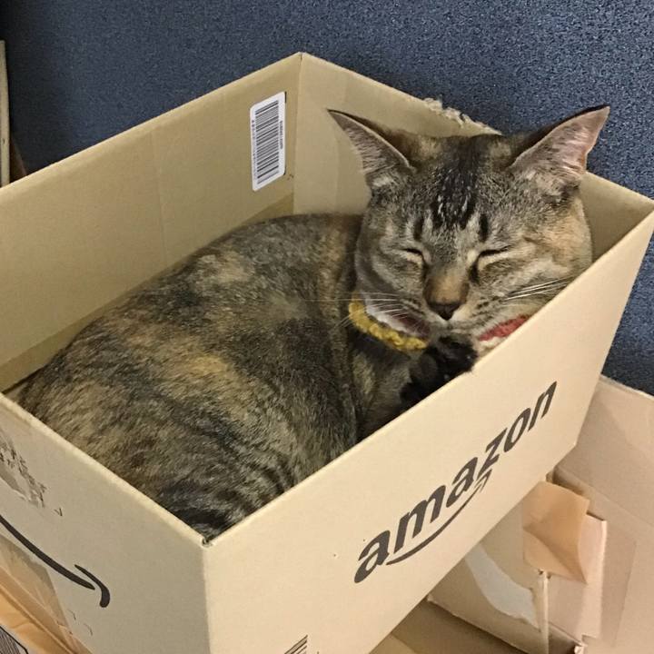 C8259e89 c049 46b5 881a 7bc58ccf1ed6 1623485500626