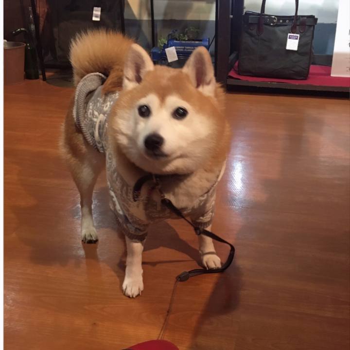 C825a5c9 6c82 4bc8 9518 7811eed3b484 1549172604931