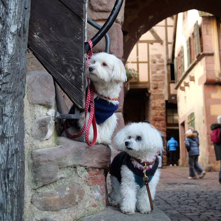 C825b472 8301 4308 9b47 a3caafbe332f 1767389884402