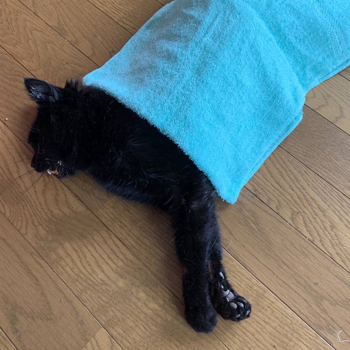 C825b7d7 84d9 4cc4 ba1a 78ab02971f7a 1648867898364