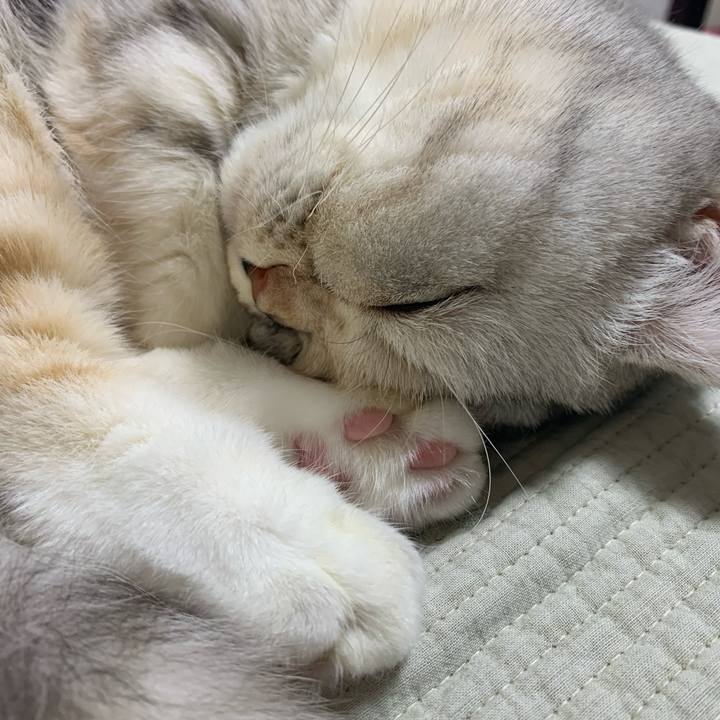 C825cbd6 5d47 44b9 b382 6f5d9babd04e 1711364450750