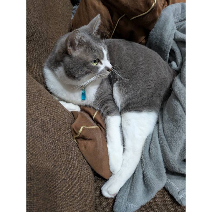 C825fb3e 29e9 479a a9a4 e1b0208f4e65 1743150024000