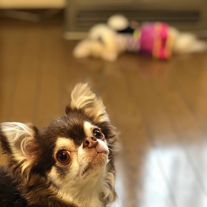 C826242a 5e51 4847 b545 00e6257ec4cc 1541207874802