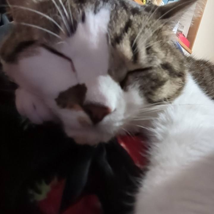 C8262b59 ef51 4857 9080 d0743e75bb7f 1668314064824