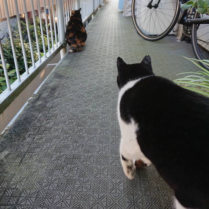 C8263426 be0b 4e65 be40 67bf43a3509e 1603236117939