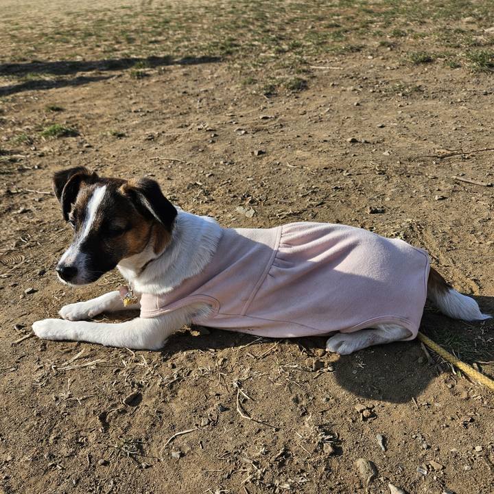 C826a2e3 2475 4cd9 a774 26f6d2b997a2 1771885349141