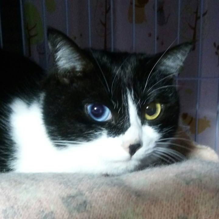 C826a91b 0a75 48bf 8749 8d73a4be5036 1521643895978