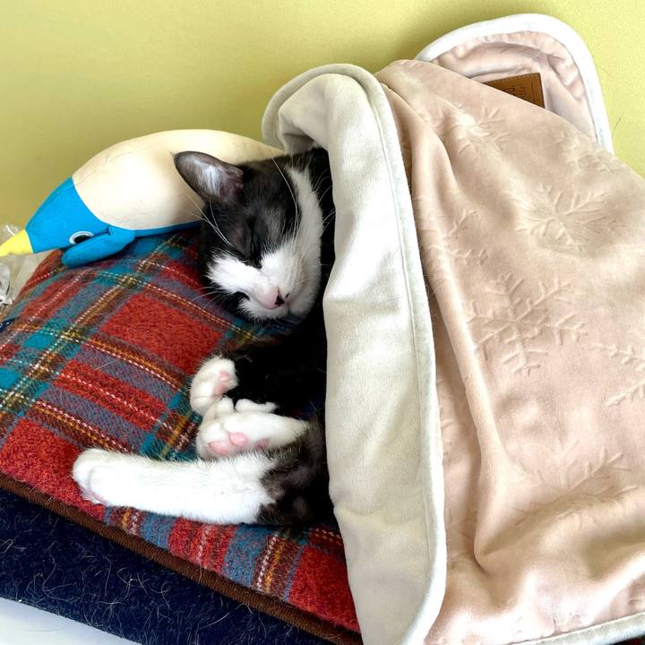 C826dd88 c0ce 4204 a129 cd38d924fff4 1641098581534