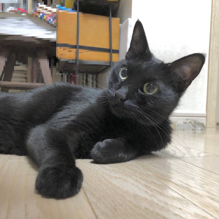 C826e499 4b32 4145 a513 a71e5a405d4d 1638621115576