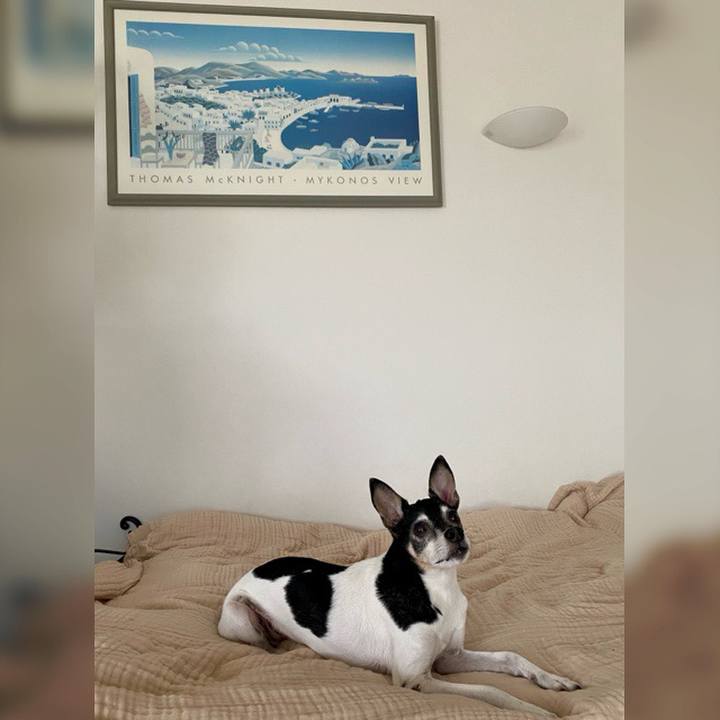 C82700bf 0e13 4858 a2c1 4f021b565f2c 1621307187080