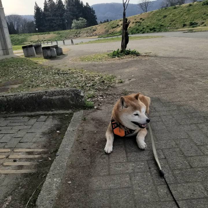 C8275a17 fa43 4382 91e7 af0c5e77dcbb 1713165350719