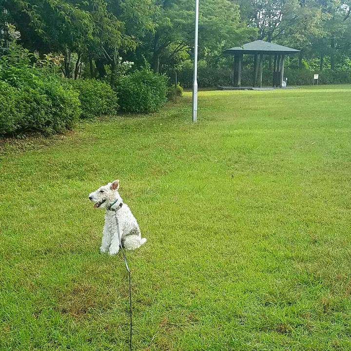 C82764f3 a525 4c43 be2d f289deac80e4 1570359933081