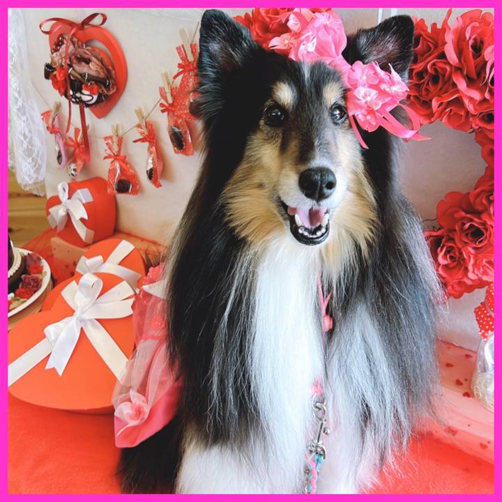 C8278f43 d5ab 4bac 9af2 7cbe99500d88 1646066679804