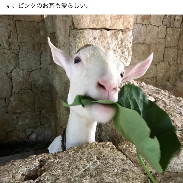 C8278fc8 a696 46bf 91ec 0a5fd2331020 1602220909199