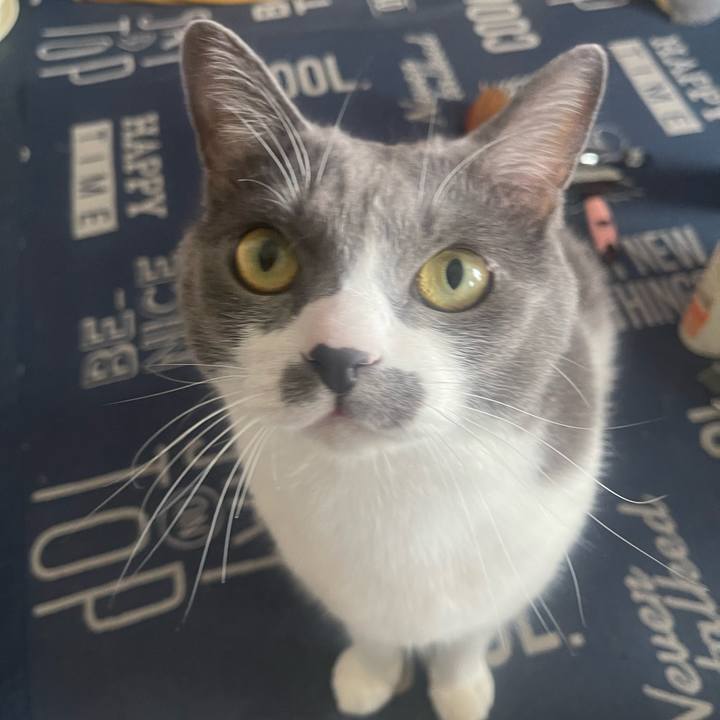 C827cdcd c93a 4d02 b296 d0f461fa851b 1731810824070