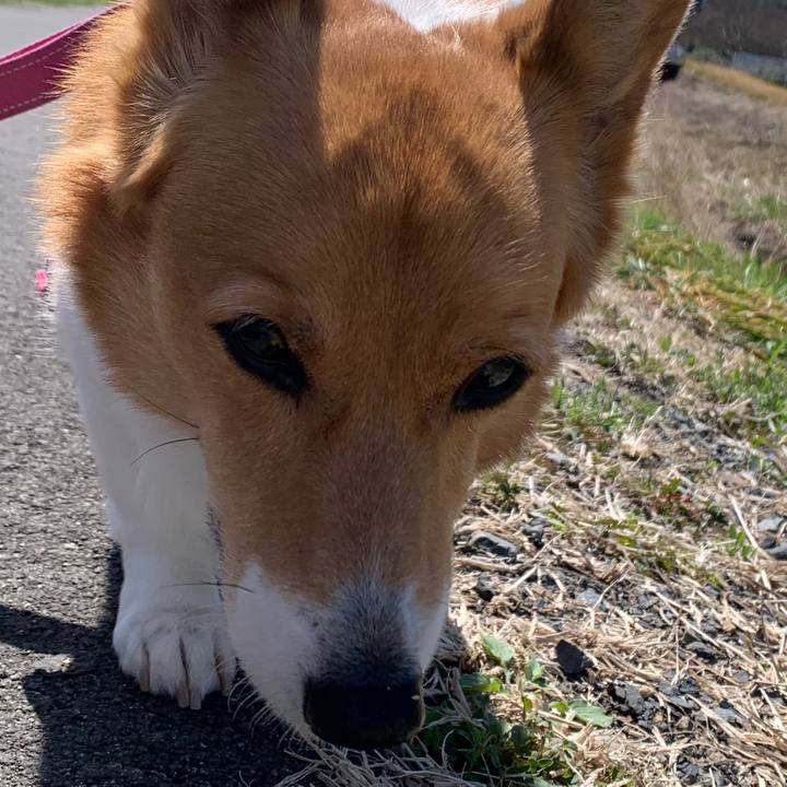 C827ff04 e370 4310 9664 3517f5e65a70 1679284362219