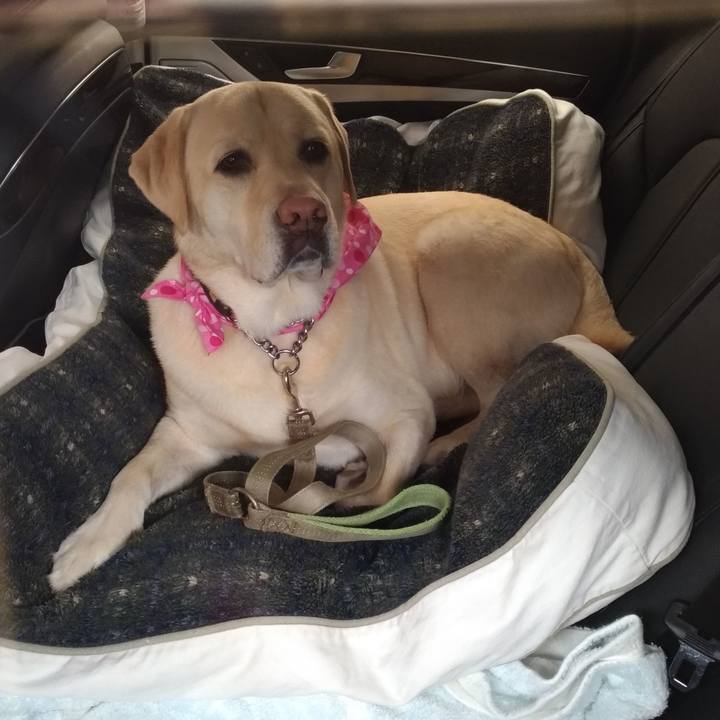 C8282c59 ac55 4edf af2c f13f2ca1fc51 1609218331625