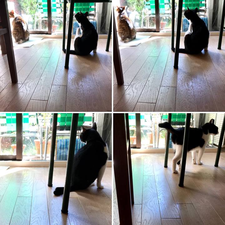 C8287952 6a46 4ce1 a2b6 9b84d008e4c8 1509361991905