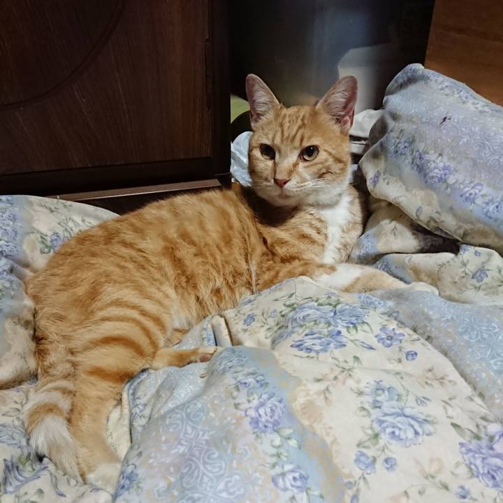 C8288aac e0a3 48c2 9d2a 9665159ae341 1590408749815