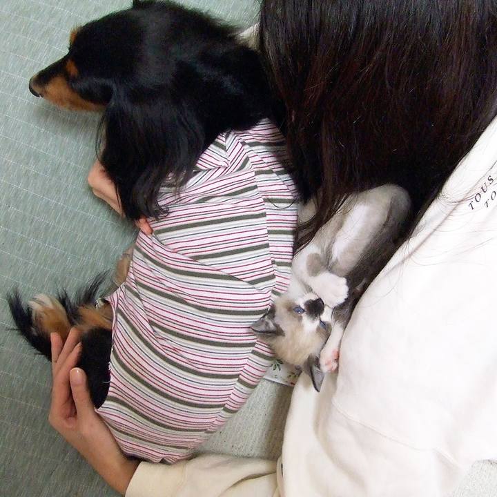 C828c3bc 9b5b 4ef4 9ceb 6bac69b14673 1533381768949