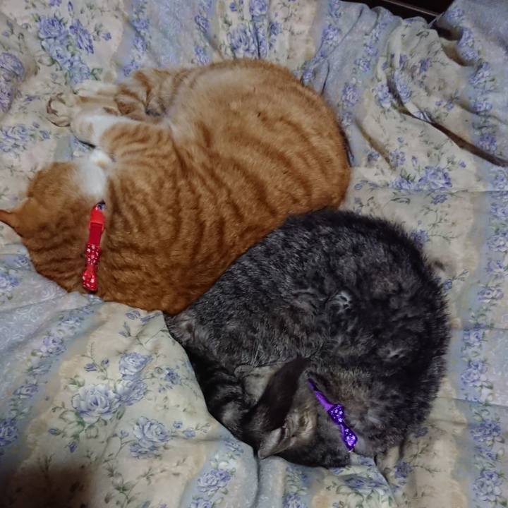 C8291b1d 4585 4e95 8e63 e4af77aa39b2 1578745028346