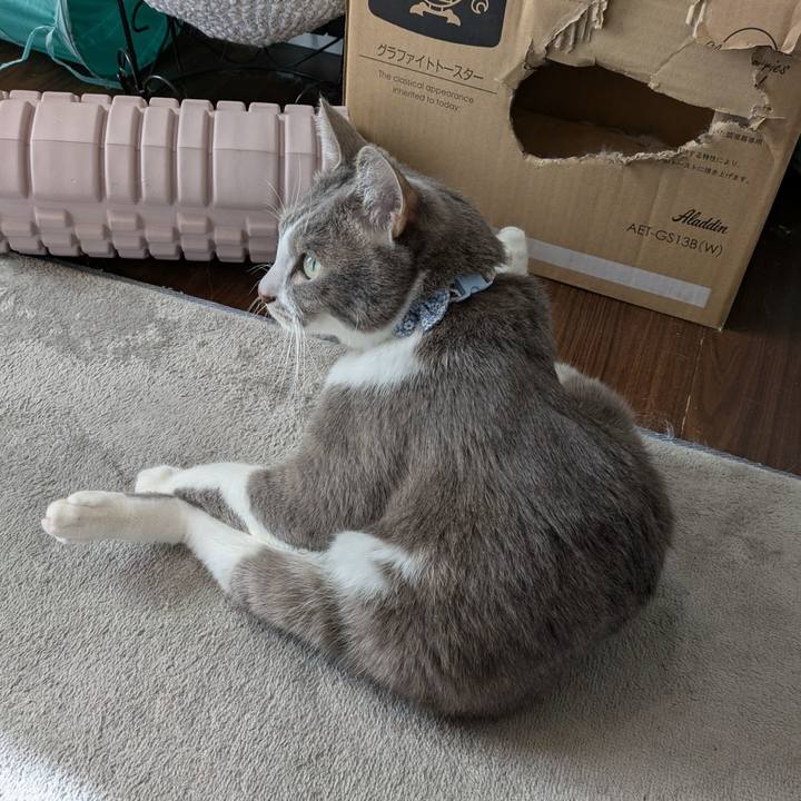 C8295d48 5e7d 42eb b1fa c1cdede5cec5 1739424119446