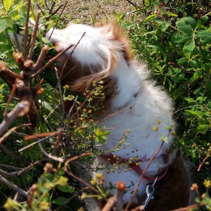 C8296fd4 32fa 4b33 a098 f9c5ed3d2f77 1617851945757