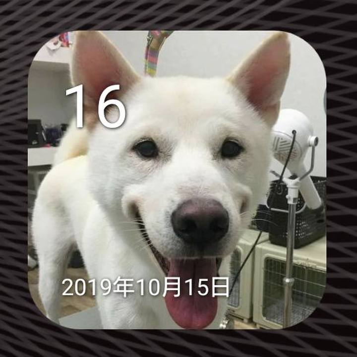 C829ac20 b8a9 40fa a352 ff52c4b7ad45 1634350463387