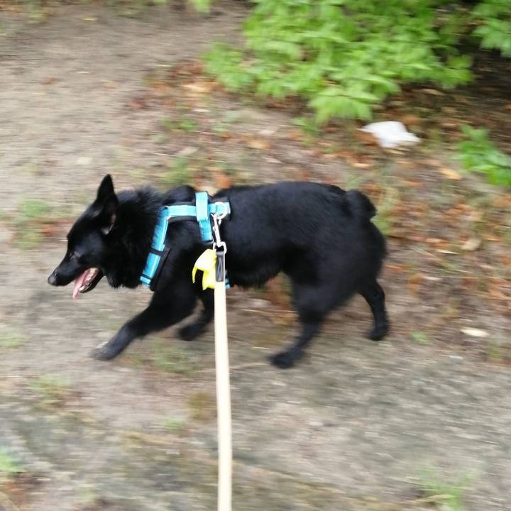 C829c7bc f8a2 4499 b27b a86ebe9df3e1 1657054432702