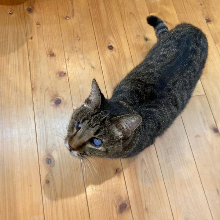 C829e385 2d5a 49de 96a3 877bc99966ee 1641808488847